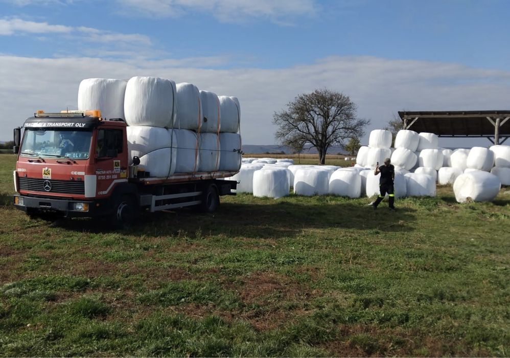 Vand baloti de lucerna infoliati