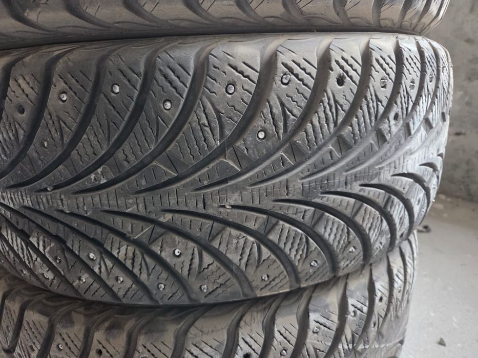 Зимняя ризина