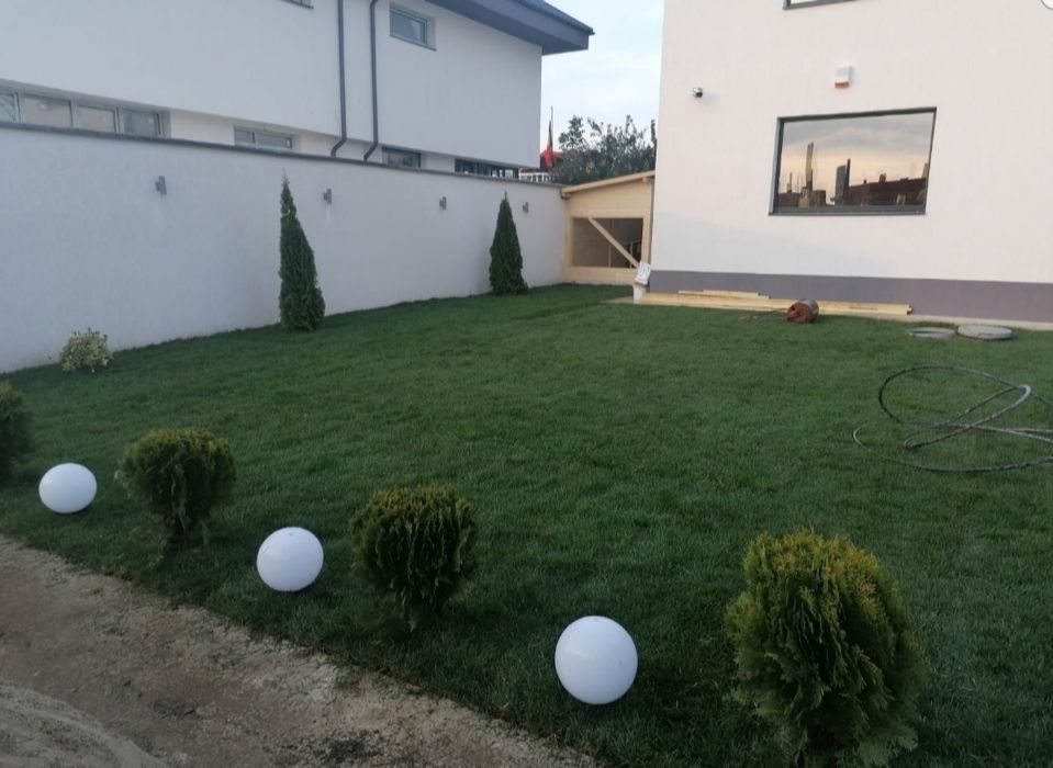 Gazon rulou sport/ asiguram transport și montaj