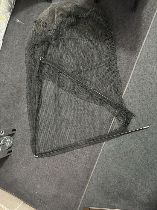 vand minciog delphin cu deschidere mare