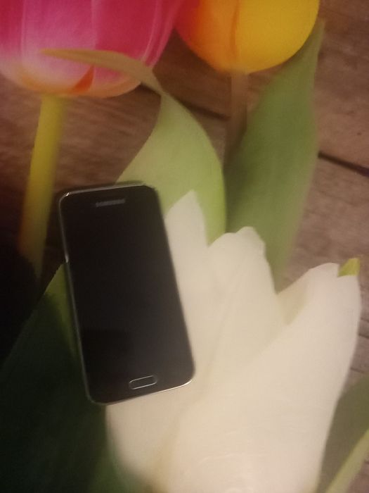 Samsung galaxy s5 mini