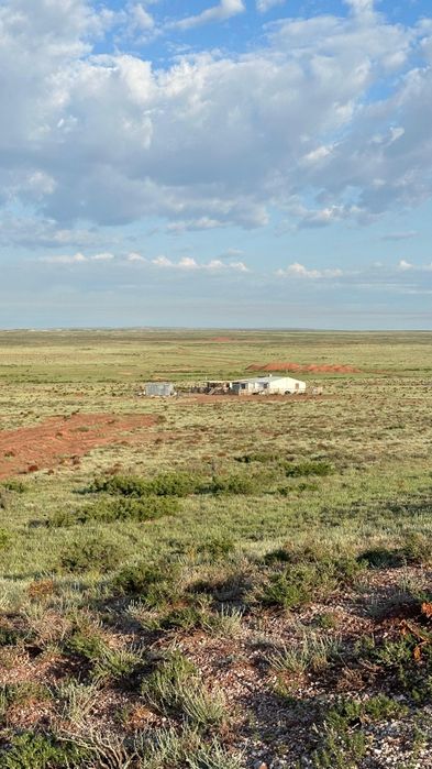 Сельское хозяйство