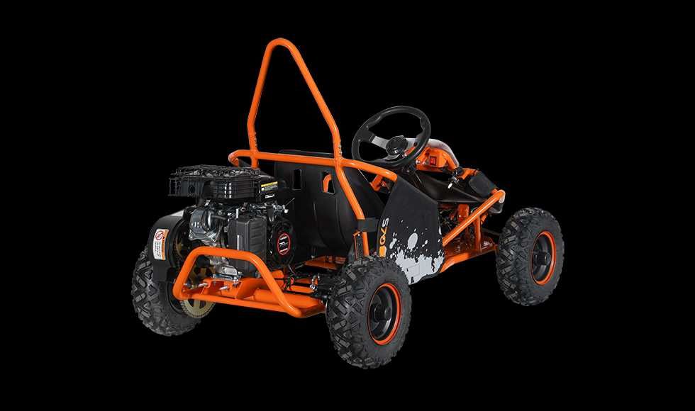 MYMOTO CLUJ vinde : GoKart  copii cu motor benzina KAYO - S70