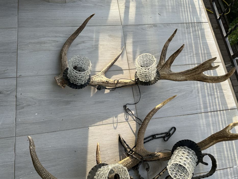 Candelabru / Lustra Coarne de cerb vintage