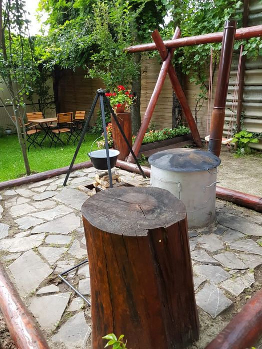 Închiriem vila în imediata apropiere a statiunii Sinaia...1500 lei