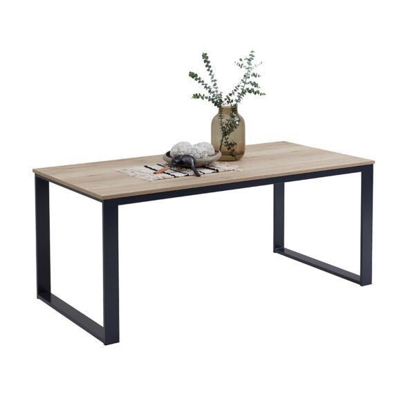 Jurnalniy stolik loft