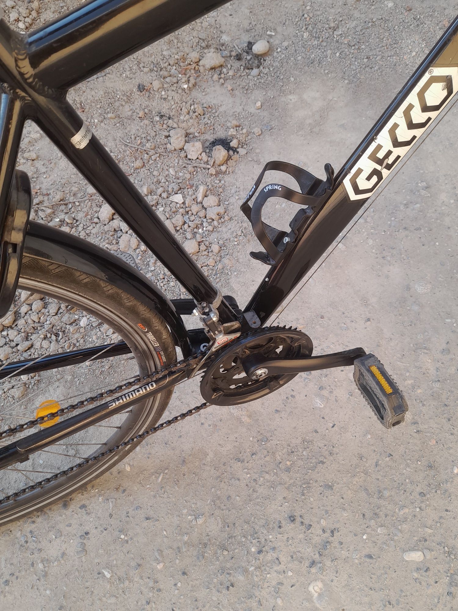 Velosiped nomi gecco
