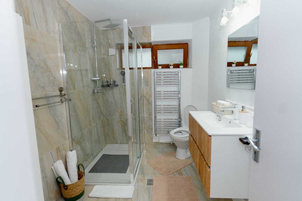 Regim hotelier apartament 2 dormitoare jacuzzi/ciubar incalzit, centru