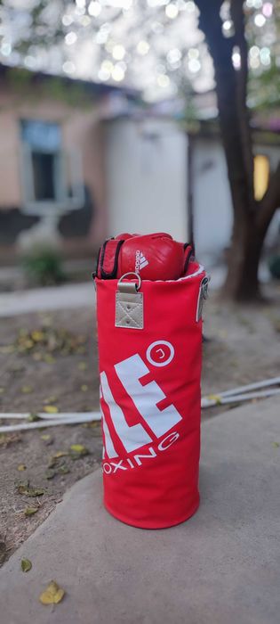 Груша и перчатки