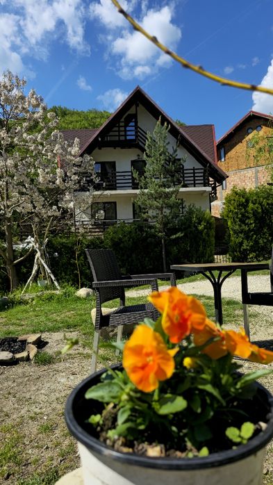 Cazare Calimanesti-Caciulata