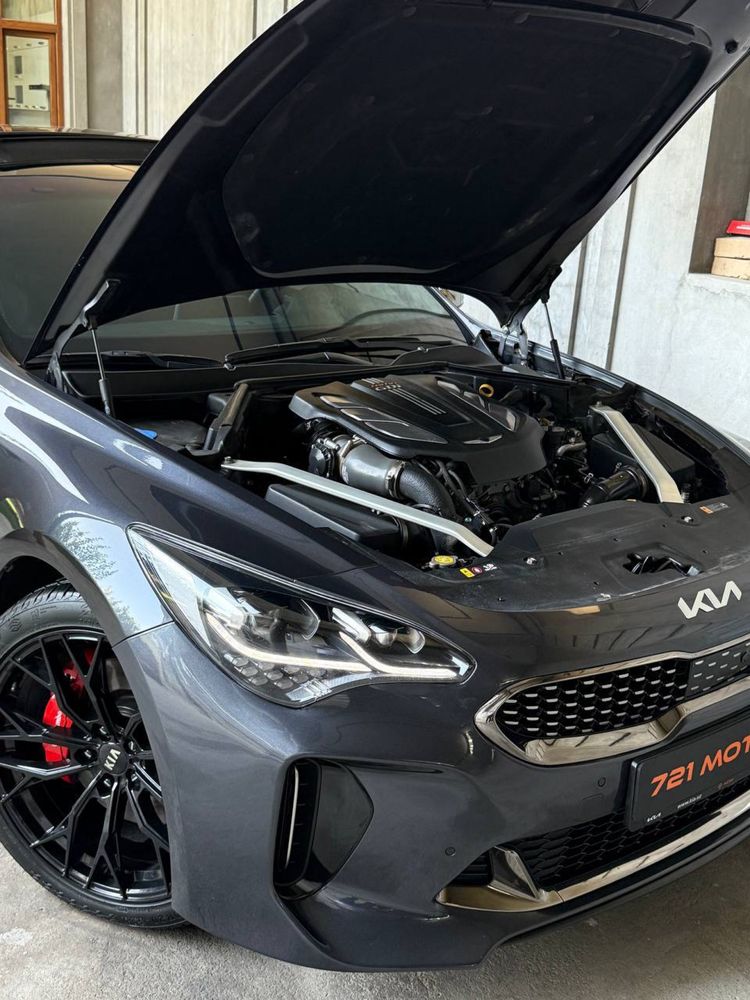 Kia Stiger Gt faqat naxtga