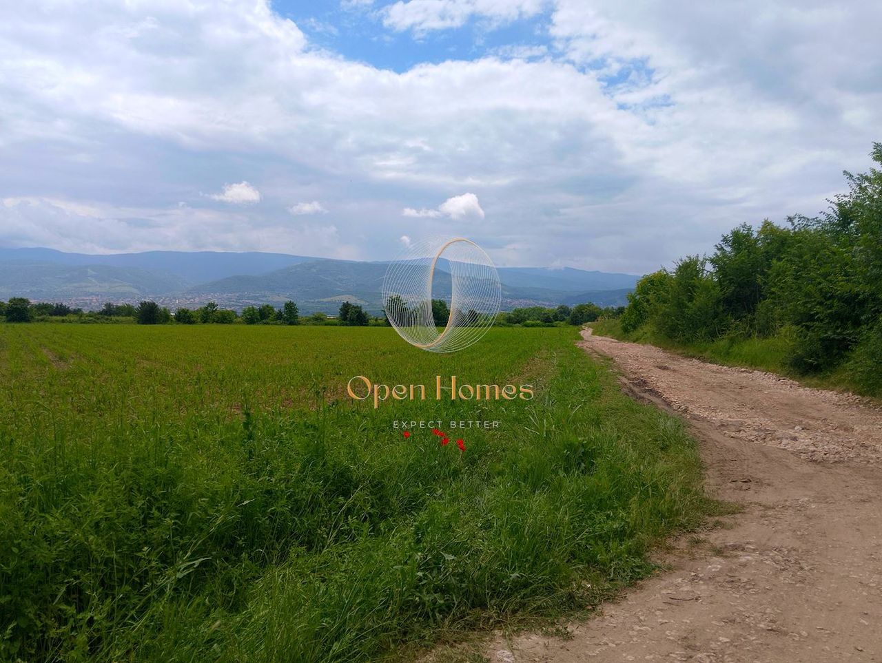 Продава се Парцел в Пловдив, Беломорски - 7450 кв.м за 36 €/кв.м - Снимка #1