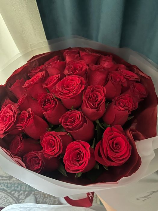 9000мын га сатам бугун келды тоже свежий