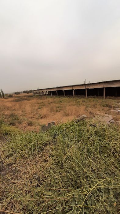 Срочно продаётся Туйтепа Нурафшон 4 5-гектар коммерческие помещения