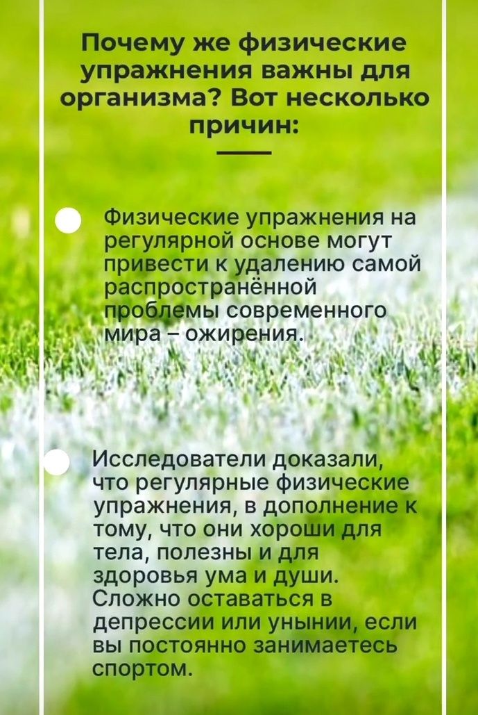 Груповые/ индивидуально Йога, ЛФК, программы похудения, пилатес.