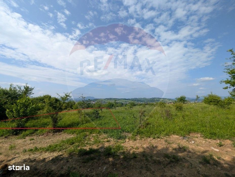 Teren intravilan de vânzare  2.444 mp - Târgu Lăpuș