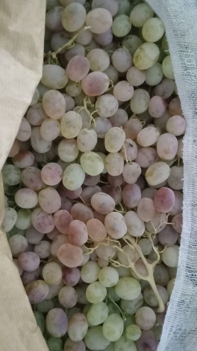 Zõr holatda 1 fura 14 lik karzinkada toyfi uzum bor