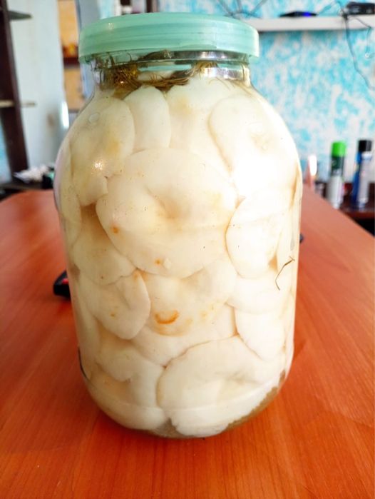 Продам грузди эксклюзив