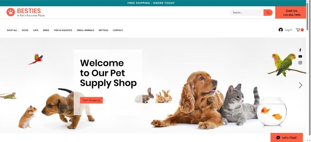 Propriul magazin online complet, gata de lansare, posibilitate rate