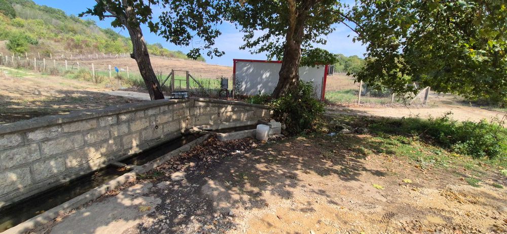 Дава се под наем Парцел в с. Кичево, Област Варна - 6000 кв.м за 204 € - Снимка #1