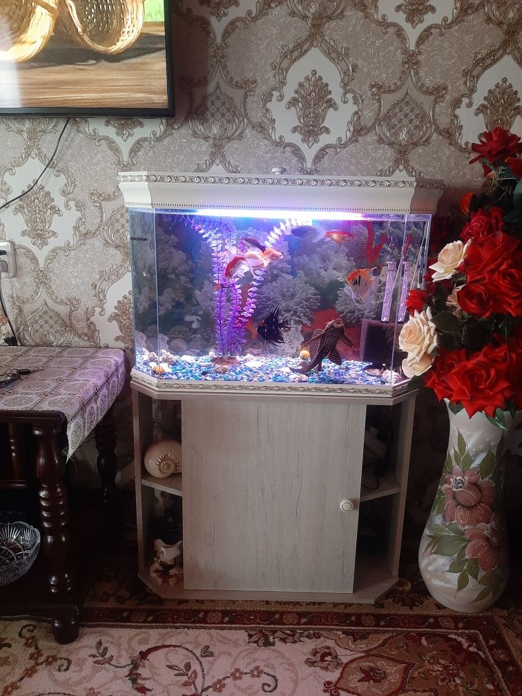 Продам аквариум со всеми жильцами