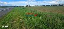 Oportunitate de investiție - Teren intravilan de 10 hectare în Alba Iu