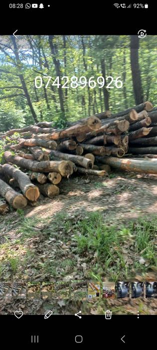 Vând lemne de foc esență tare