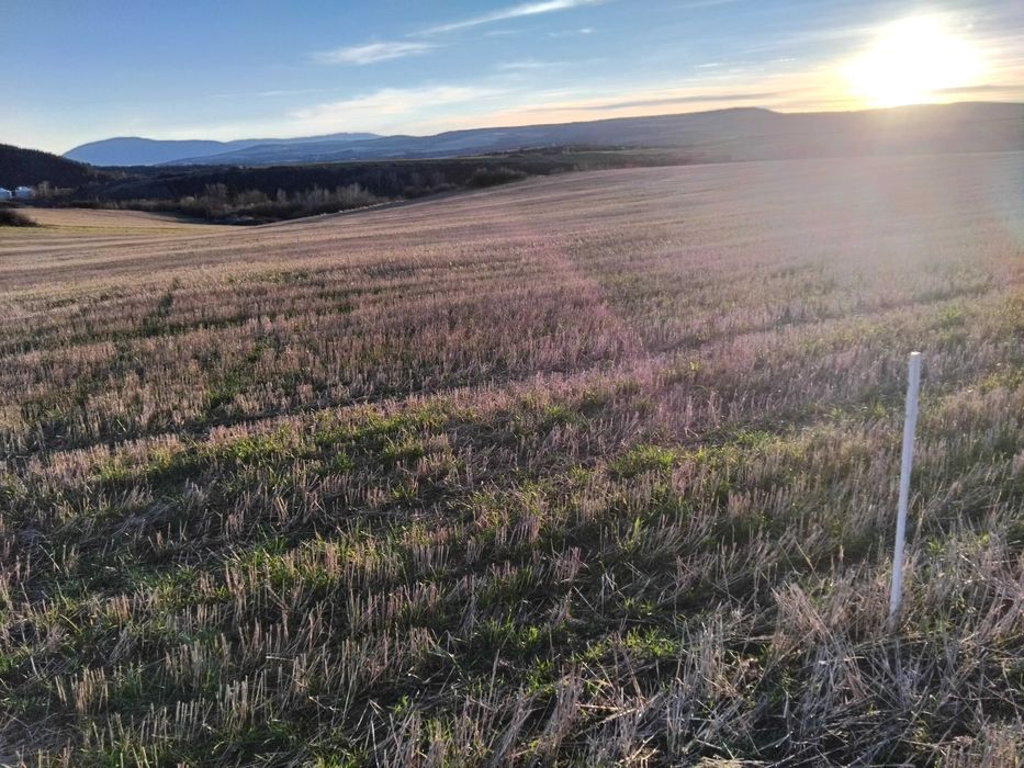 Земеделска земя област Перник, град Батановци 4451кв.м