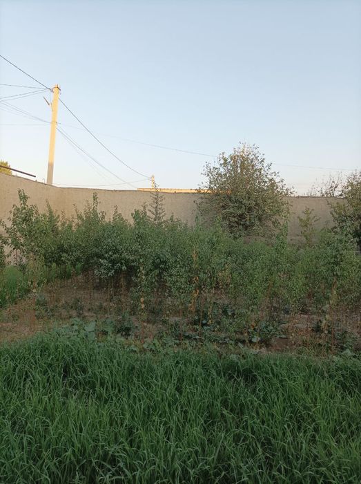 Zaldori nixol sotiladi