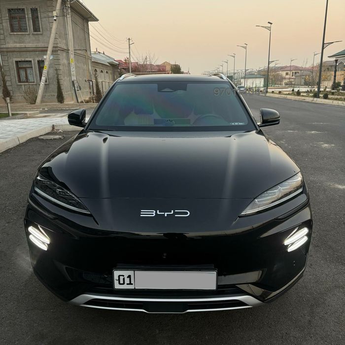 Byd champion,chempion,чемпион,сонг плюс,бивайди,bivaydi