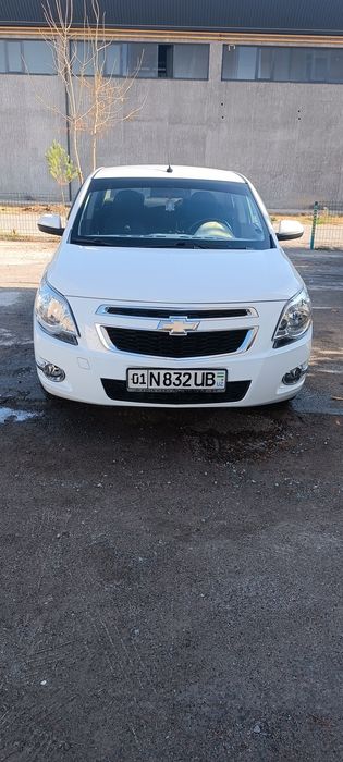 Kobalt bir qoʻl toza