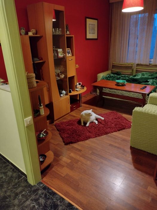 Apartament 4 camere Alexandru cel Bun 19
