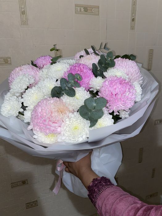 Шымкент. Цветы Астра хризантема свежие