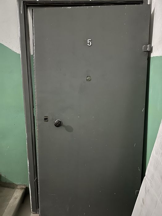 Дверь входная железная