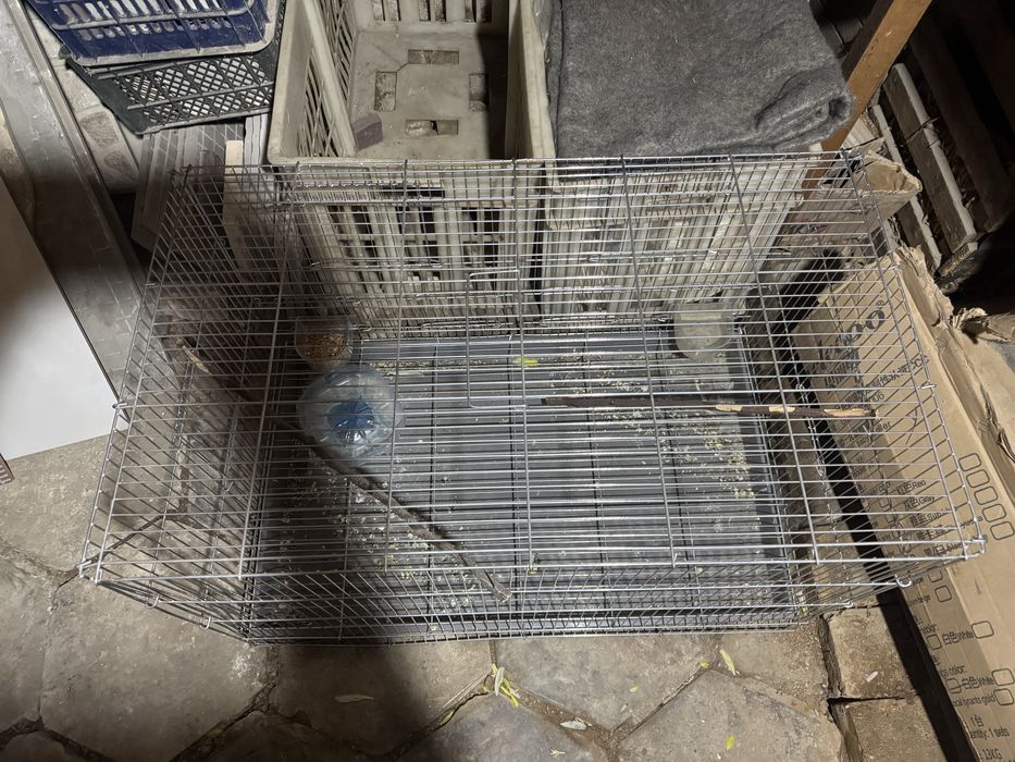 Клетки для птиц