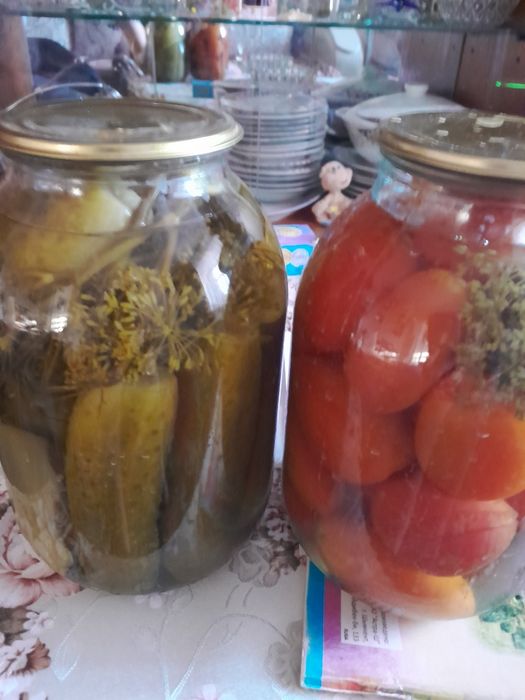 Зссолка.Огурцы иПомидоры.