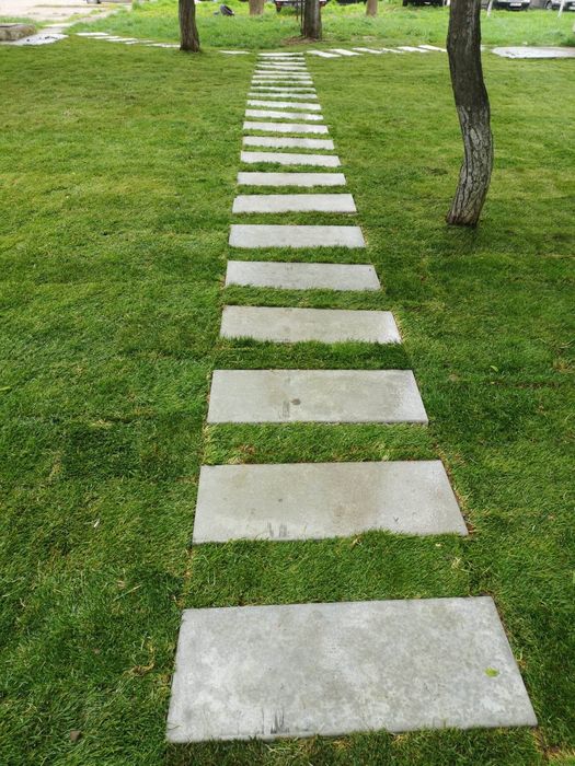 Pasi japonezi, Dale beton armat, Placi beton ,Coame de gard ,Pasi Japo