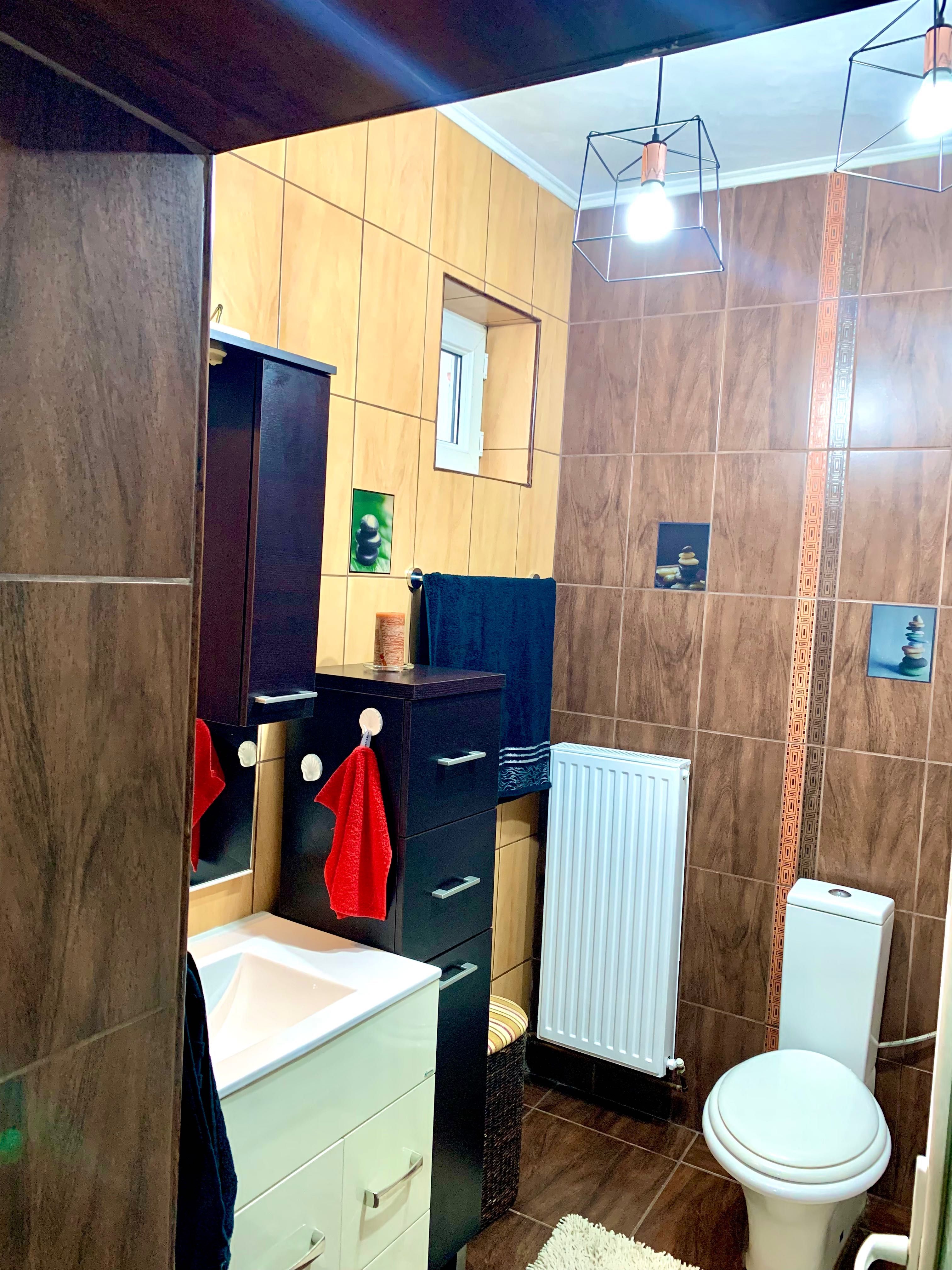 Apartament ultracentral 2 camere