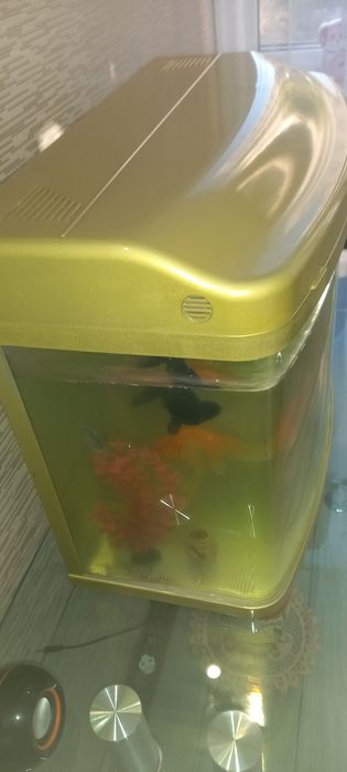 Продам Аквариум с рыбками