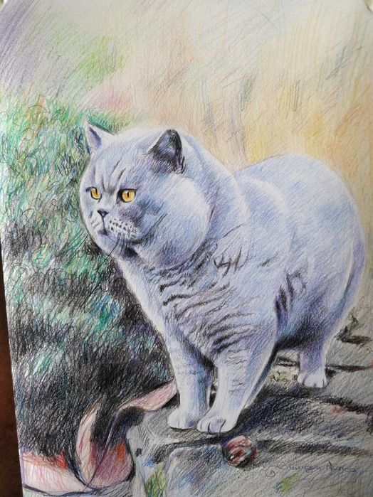 O poveste în culori. Portrete la comandă.