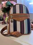 Rucsac Silver & Polo