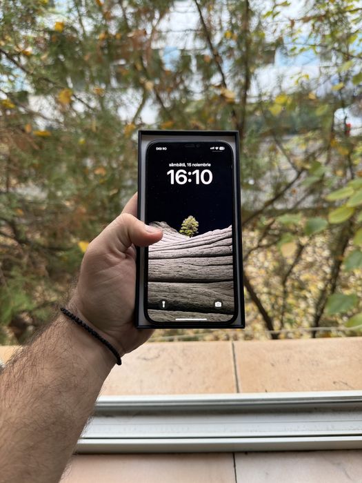 vand iPhone 12 Pro Max