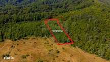 Teren 6,000mp Crizbav / Strada principala