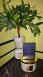 Parfum original 100% , Chanel - Bleu de Chanel 100ml