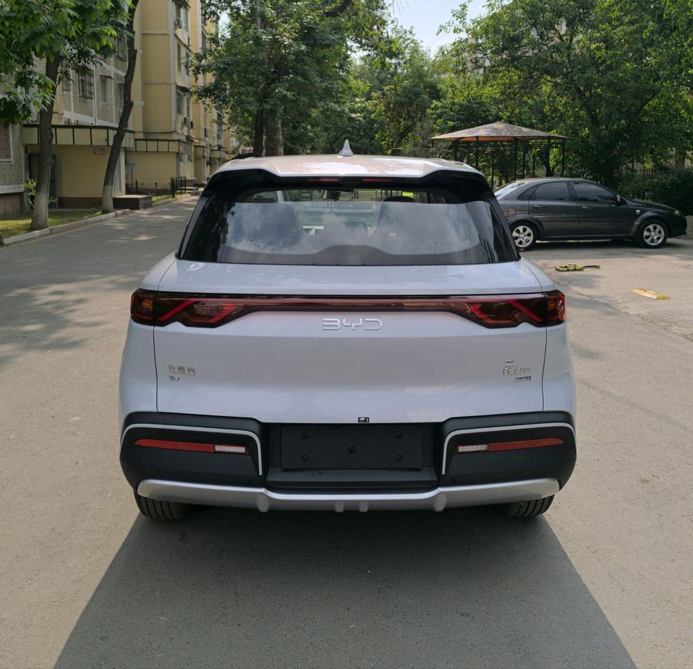 Yuan Up 401km smart