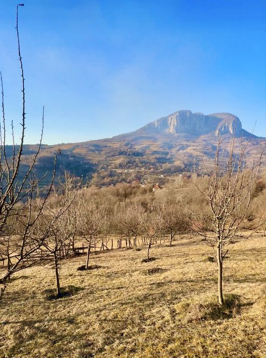 Vand teren cu livada Buces Vulcan