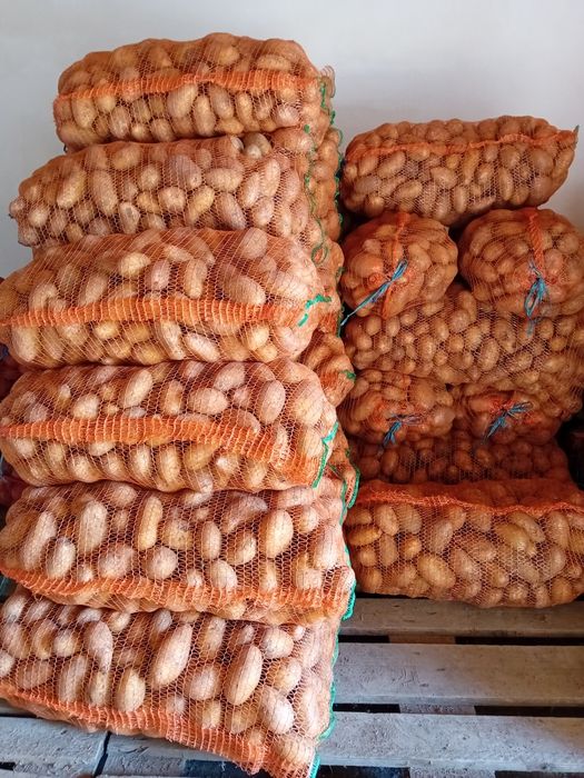 De vanzare Cartofi consum