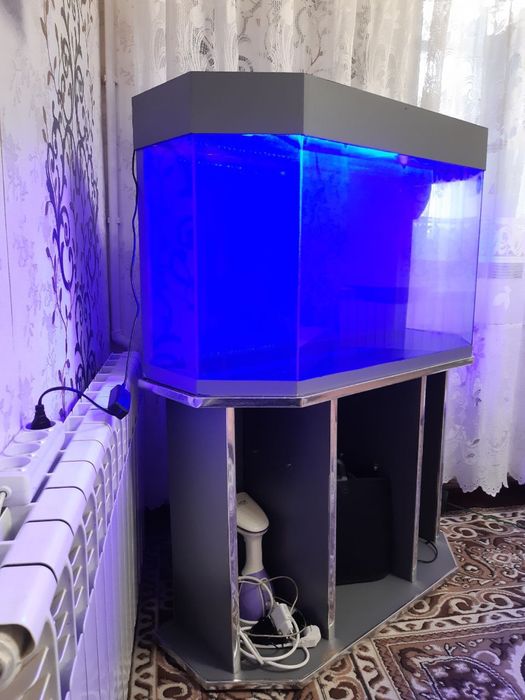 Aquvarium sotiladi srochna.