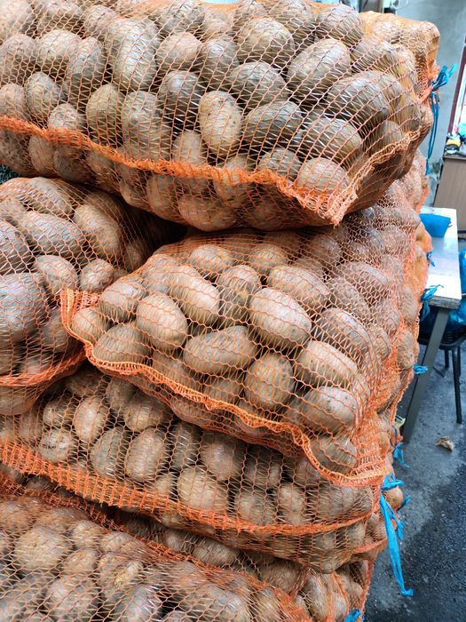 Cartofi de vînzare.