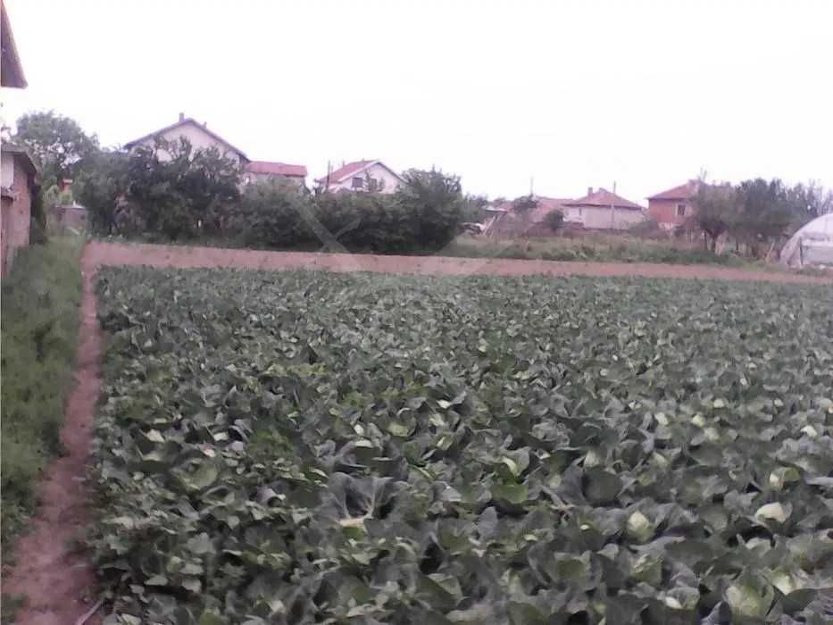 УПИ с ток и вода в с. Маноле! 55500